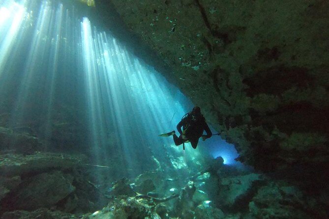 1 day of diving in Cenotes price for 2 certified divers - What’s Included for Price: Tanks, Weights, Belts, and the Stuff You’ll Actually Use