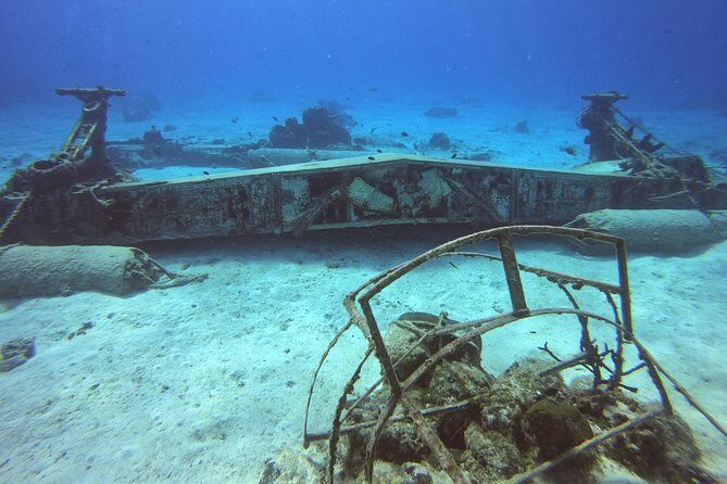 1 Tank Guided Shore Dive Including Equipment - Meeting Up: Getting Started at the Cozumel Dive Academy Area
