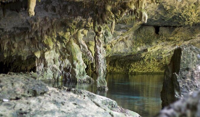 2 dives in Cenote Dos ojos Certified Divers - Stop 1: Cenote Dos Ojos and what to expect underground