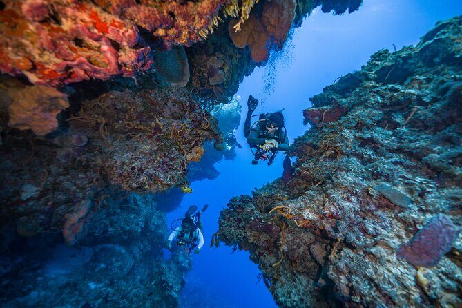 2 Tanks dives for Certified Divers in Cozumel - Stop 1: Palancar Reef and Why It’s a Smart First Choice
