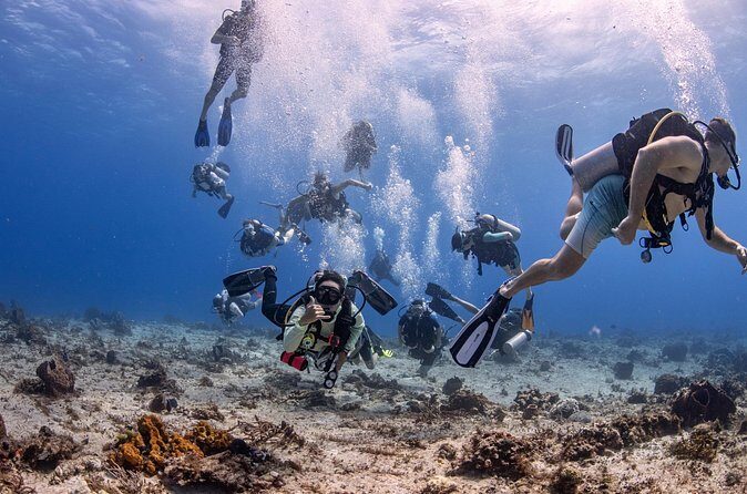 2 Tanks dives for Certified Divers in Cozumel - Stop 2: The Second Reef, Often in the Palancar-to-Casa Blanca Mood
