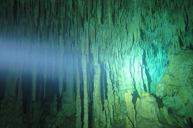 3 days diving in cenotes for certified divers - Getting there from Playa del Carmen: early start, easy handoff