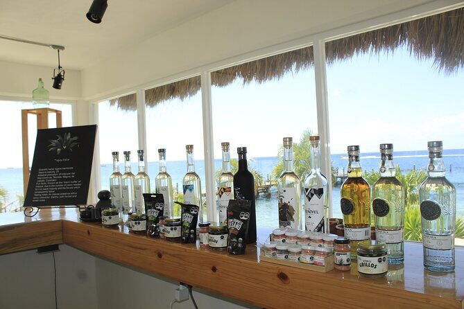 3-Hour Small-Group Mezcal and Tequila Tasting activity from Cozumel - What you learn to taste (and how the guide gets you there)