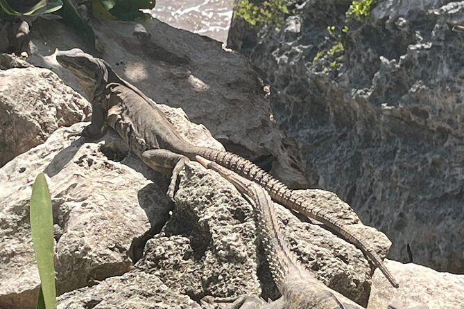 3 in 1 Experience in Tulum - Price and logistics: where the money goes, and what costs extra