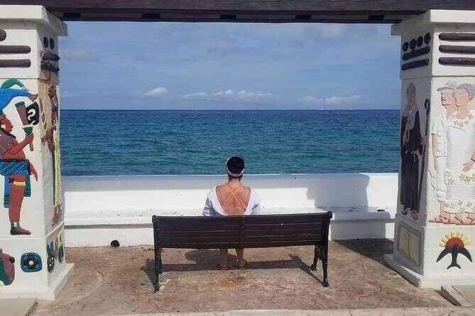 4-Hour Private Tour in Cozumel with Pickup - Pickup, Comfort, and the Private-Tour Advantage