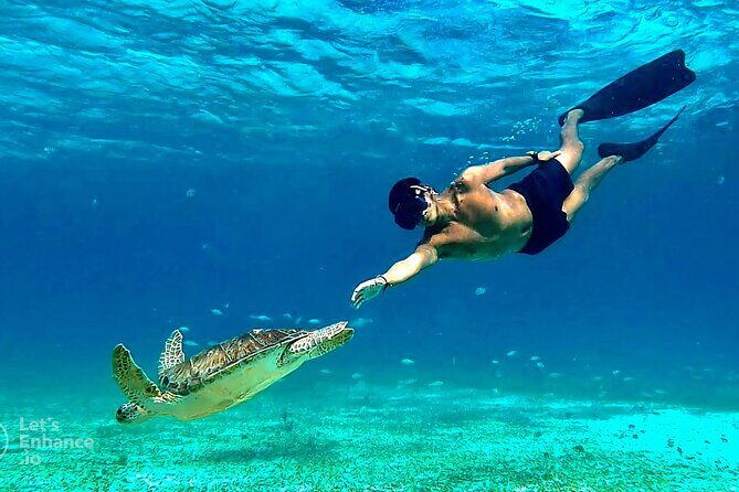 4 Hour Snorkeling Tour in Cozumel - Key Highlights You’ll Actually Feel on This Tour