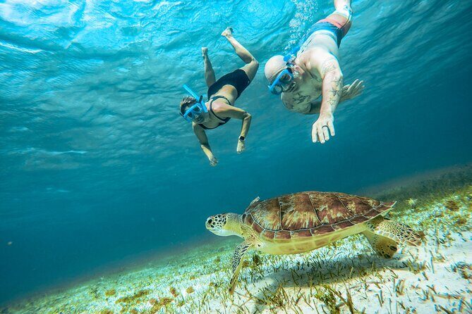 4 Hour Snorkeling Tour in Cozumel - El Cielito: Little Heaven Sandbank, Snacks, and the Sunset Feel