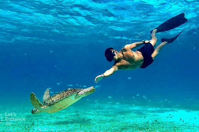 4 Hour Snorkeling Tour in Cozumel - Price and Logistics: What You’ll Want to Know Before You Go