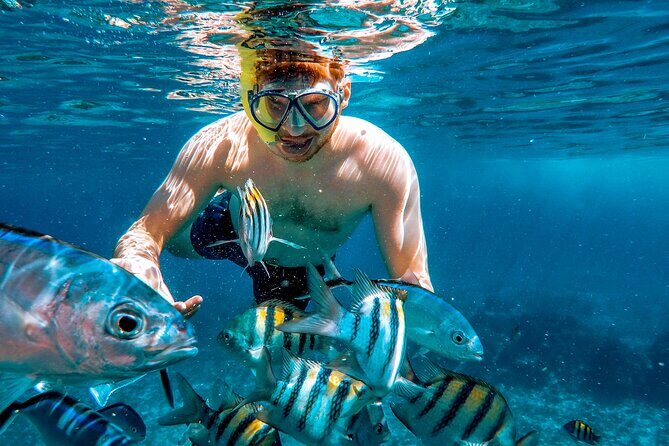 4 Hour Snorkeling Tour in Cozumel - Who This Tour Fits Best (And Who Might Want Something Else)