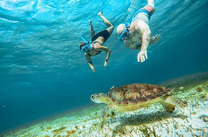 4 Hour Snorkeling Tour in Cozumel - How to Make Your Snorkel Hour(s) Go Smoothly