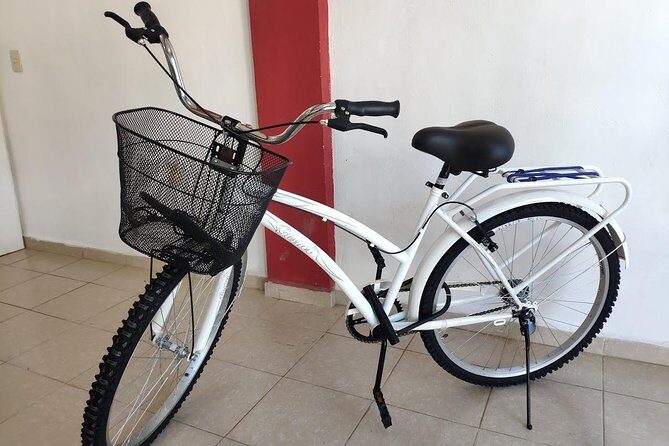 4 to 7 Day Beach Cruiser Rental (Up to 7 Days, includes Ulock) - Price and Value: What $45 Can Really Buy You