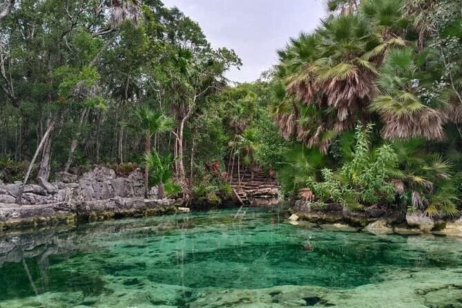 8-Day Tour through the Yucatán Peninsula, Mexico - Day 1 Pickup, Transfer, and an Afternoon That Actually Feels Like Vacation