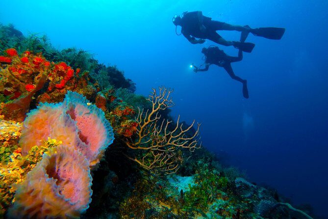Advanced Open Water Diver course PADI in Playa del Carmen - Choosing your other three training sessions from the adventure list