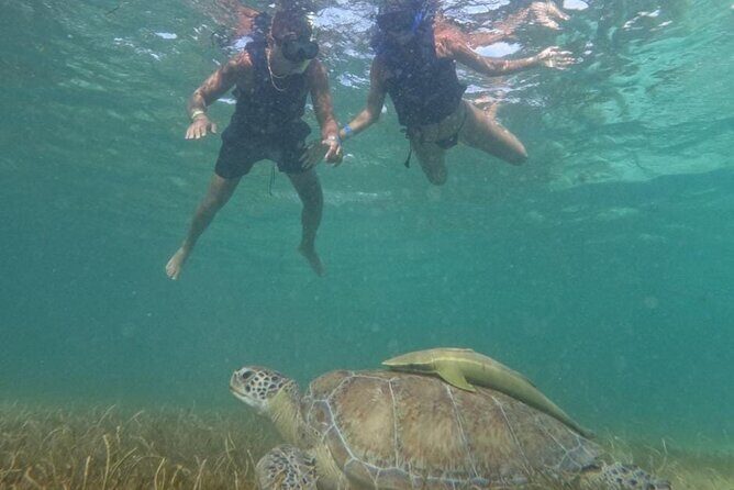 Akumal : Snorkeling with Green Turtles + Photos with GoPro - What to Expect If You’re New to Snorkeling