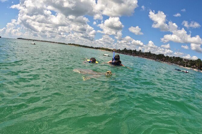 Akumal; Snorkeling with The Sea Turtles - Key things I’d mark on your mental map