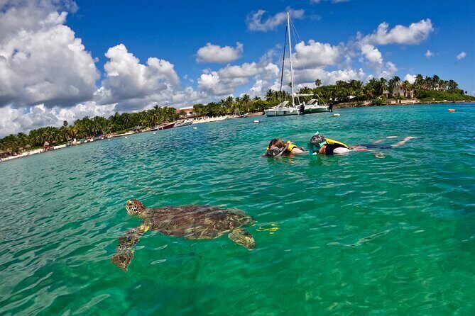 Akumal; Snorkeling with The Sea Turtles - Who this snorkel tour is best for (and who should rethink it)