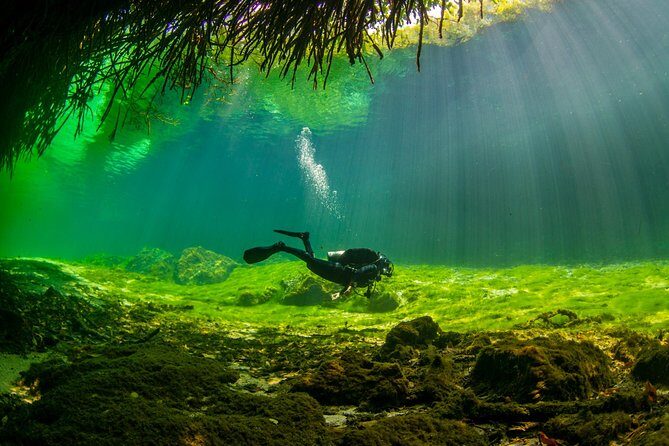 Amazing beginner dive in Tulum cenote (or refresher dive) - Meet at La Calypso and get your scuba gear under control