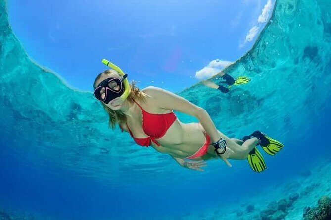 Aquatic Paradise in Tulum: Snorkel Yalku, Swim Cenote & Kaan Luum - Price and what you really pay: $105 plus local tax