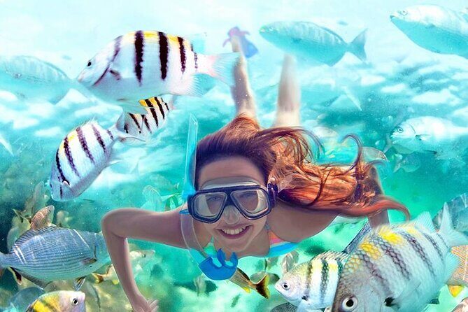 Aquatic Paradise in Tulum: Snorkel Yalku, Swim Cenote & Kaan Luum - Cenotes Labnaha & Eco Park: sinkhole swimming with a group-day rhythm