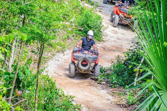ATV Tour, Ziplines, Mayan Cenote, Tacos, Tequila and Transport - Jungle Thrills in Playa del Carmen: ATV, Ziplines, and a Mayan Cenote