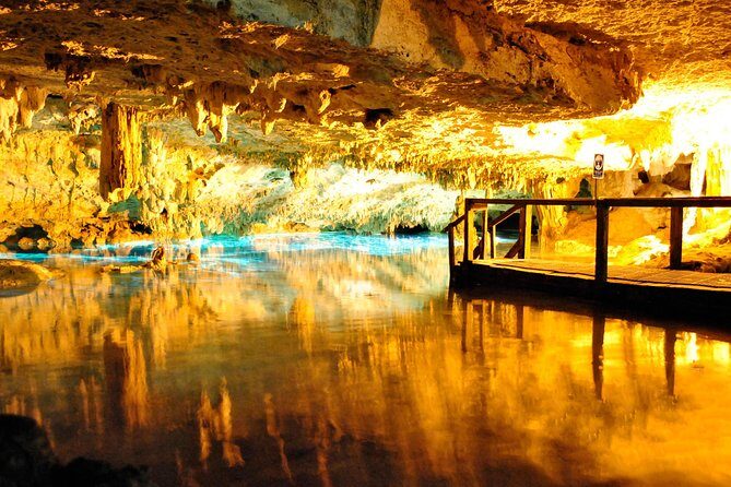 ATV Xtreme and Zipline Adventure from Riviera Maya - Ziplining: From Canopy Line to the Cenote