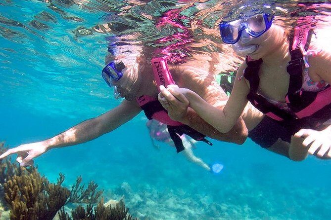 Awesome Tour Day at Xcaret Plus + Transportation from Riviera Maya - Food and drinks: buffet lunch plus beer and unlimited beverages