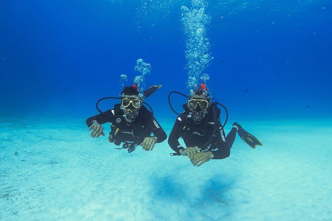Basic Diver - Bautismo - The Afternoon Ocean Time: Two Reef Sessions With a Certified Instructor