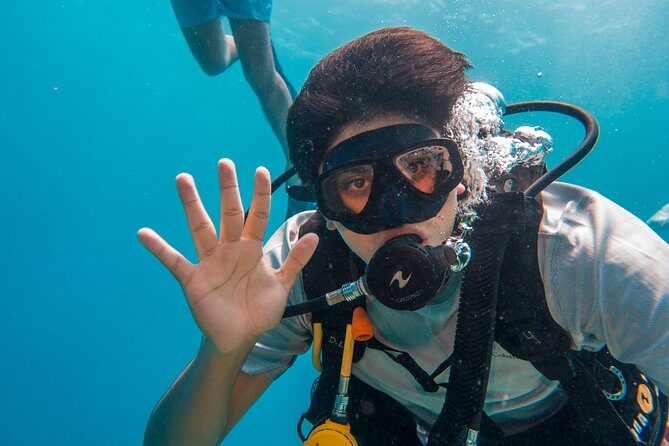 Basic Diver - Bautismo - Price and Value: What $145 Buys You (and What to Double-Check)