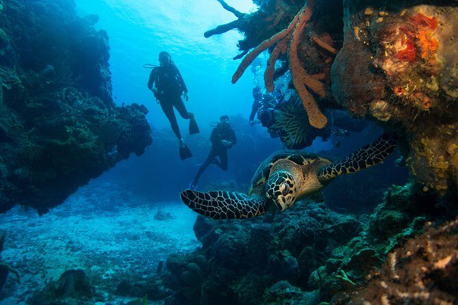 Basic Diver - Bautismo - Instructor Style That Keeps First-Timers Calm