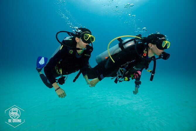 Basic Diver - Bautismo - Should You Book It?