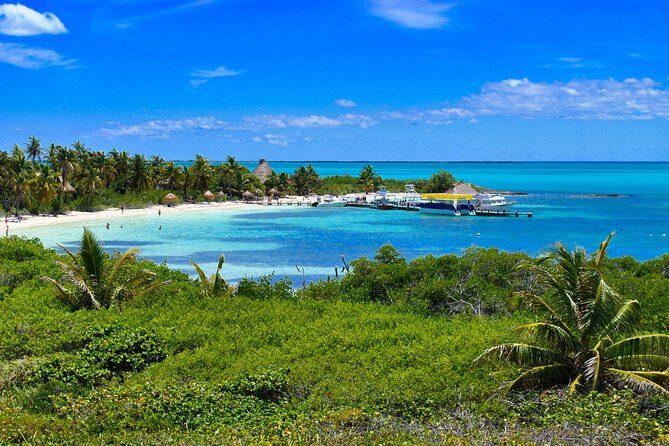 Beach Escape: Isla Contoy and Isla Mujeres with Snorkeling. - Isla Contoy Snorkeling: Reef Time, Safety Lines, and Real Expectations