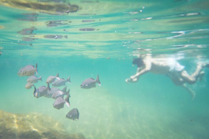 Best in Class: Private Snorkeling Xpedition - Value check: why this route feels worth it