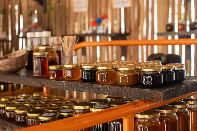 Best Island tour (dowtown, Beach, mayan Park & tastings) - Pace and fit: who this tour is best for