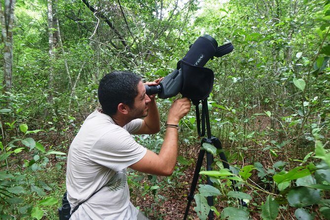 Bird Watching in Sian Ka´an Muyil - Muyil village birding: watching everyday Mayan life and wild neighbors