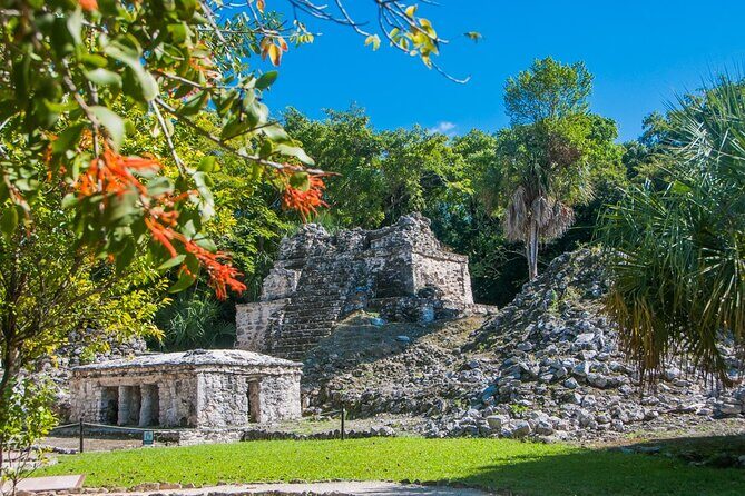 Birdwatching in Sian Ka´an Muyil from Tulum - Shared Group Tour - Guides, telescopes, and how species turn into a list you keep