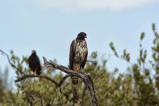 Birdwatching Sian Ka'an Biosphere Reserve - What’s included in the $165 birdwatching experience (and why it’s good value)