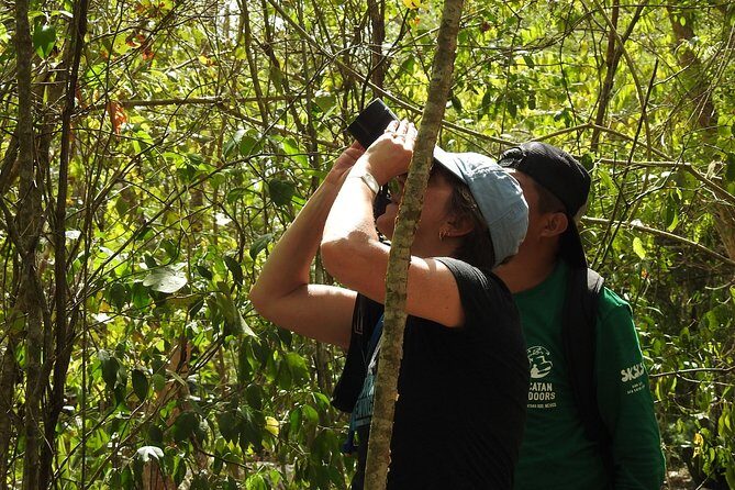 Birdwatching Sian Ka'an Biosphere Reserve - Group size and pace: small crew, focused morning