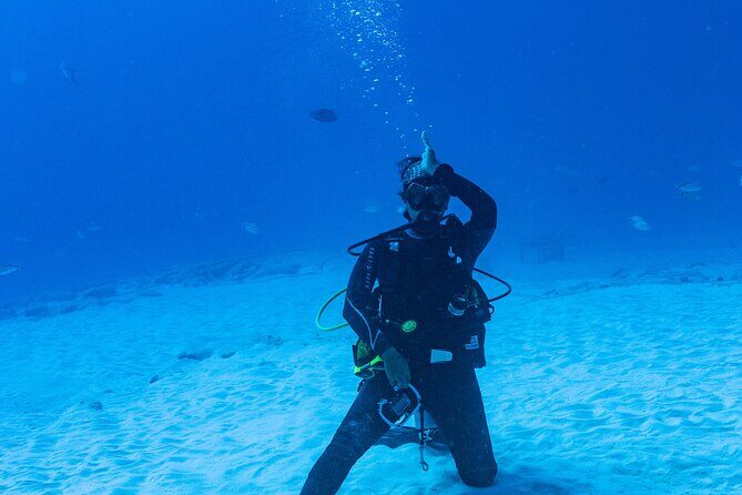 Bull Shark Dive in Playa del Carmen – Dive Machine Experience - Price and Value: Is $199 a Good Deal for Bull Sharks in Playa del Carmen?