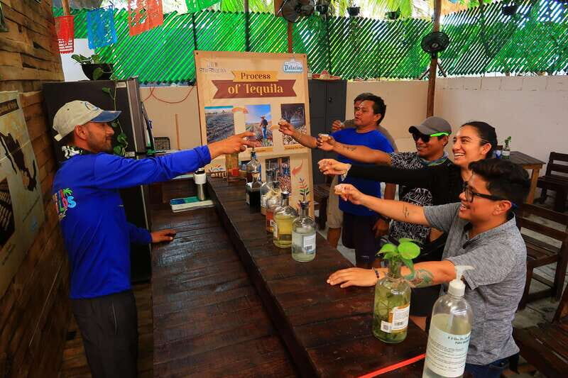 Cancún: Beachside Tacos & Town Tour with tequila tasing - Handcrafted Mexican Ice Cream After the Tastings