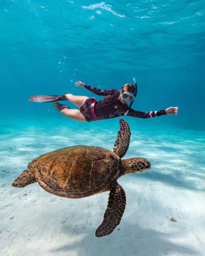 Cancun: Explore Tulum, swim with turtles, cenote, and snorkel in caves - A day that actually links Mayan ruins, turtles, and cenotes