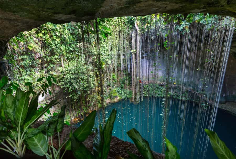 Cancun: Explore Tulum, swim with turtles, cenote, and snorkel in caves - Akumal Beach turtle snorkeling: clear rules and a real water workout