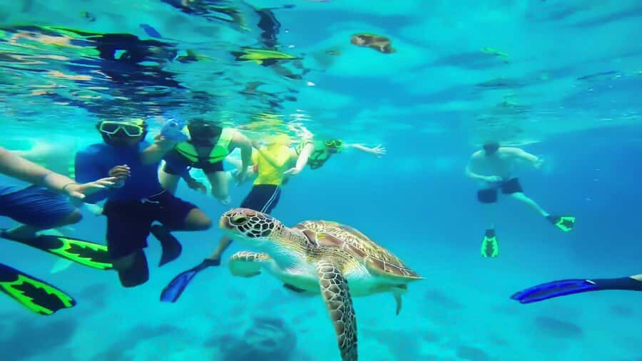 Cancun: Explore Tulum, swim with turtles, cenote, and snorkel in caves - Price and value: what your $112 covers, plus the $45 fee