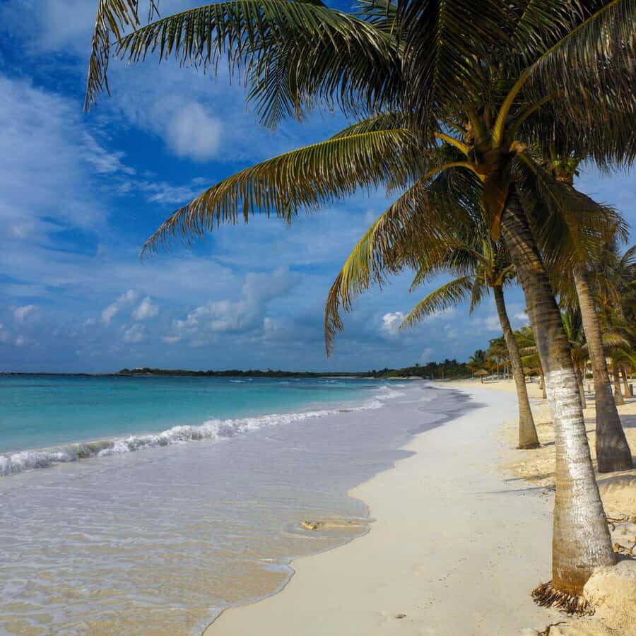 Cancun: Explore Tulum, swim with turtles, cenote, and snorkel in caves - Who should book, and who should skip this one-day water plan