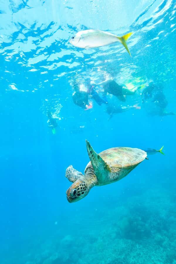 Cancun: Explore Tulum, swim with turtles, cenote, and snorkel in caves - Getting the best version of Tulum: early access, guided ruins, and cliff views