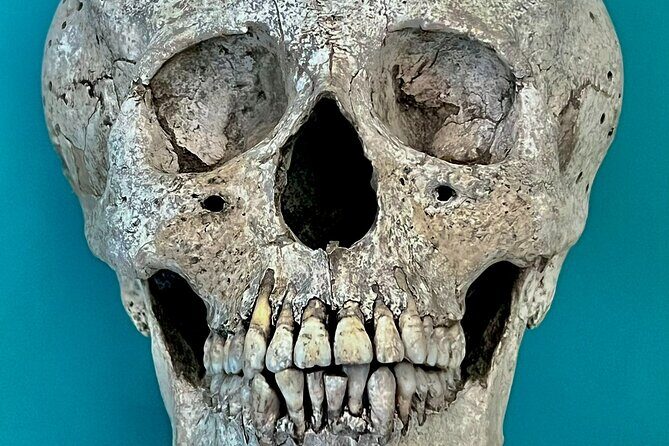 Cancun gems: Mayan Museum, Beach watching, Local Market, & Lunch - Mercado 23 and local market time: browse like a neighbor, not a shopper target