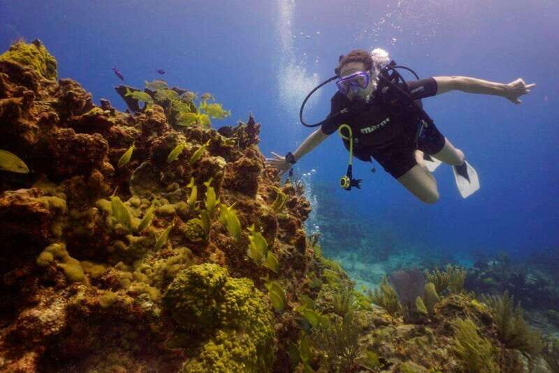 Cancun: MUSA Diving for certified divers morning dive trip - Key things to know before you book