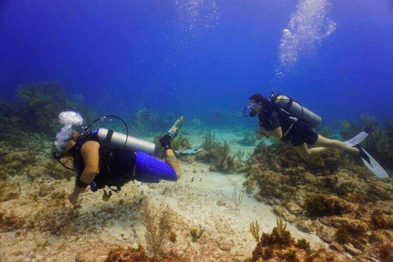 Cancun: MUSA Diving for certified divers morning dive trip - Morning timing from Cancun Hotel Zone: Less traffic, better focus