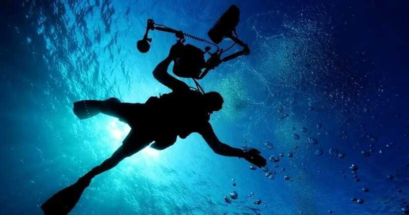 Cancun: MUSA Diving for certified divers morning dive trip - Getting there and back: van pickup, shop location, and how to plan
