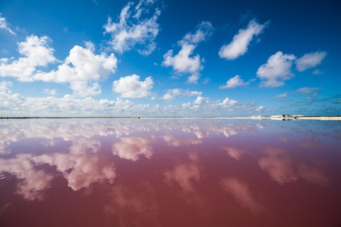 Cancun tour Las Coloradas Pink Lagoon + Rio Lagartos Tour - Stop 2: Reserva de la Biosfera Ría Lagartos (Protected Area Time)