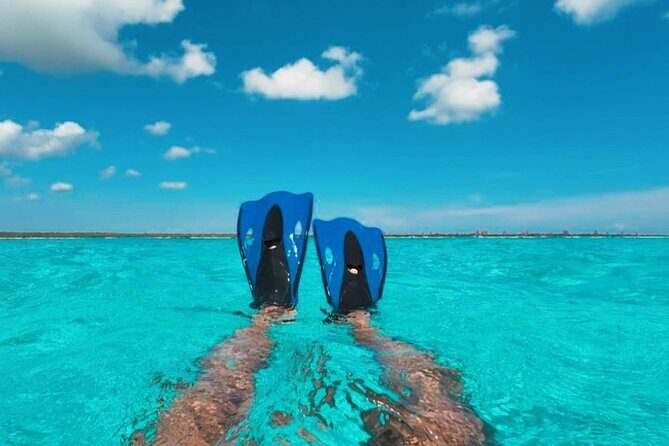 Catamaran in Cozumel with snorkeling at El Cielo and open Bar - El Cielito sandbank (about 1.2 meters deep): manta-ray time